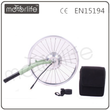 Motor eléctrico de MOTORLIFE / del equipo del OEM China 12v dc eléctrico para el motor del eje de la bicicleta